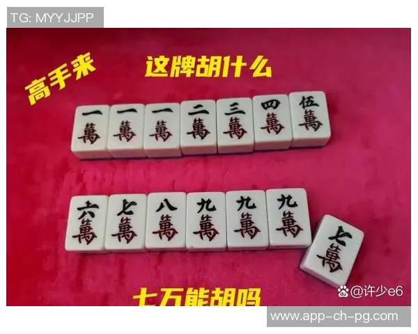 打麻将胡了-麻将桌上的喜悦—胡牌的艺术-打麻将胡了