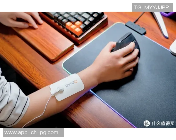 攀高电子血压计pg-800a31-攀高电子血压计PG-800A31,家庭健康管理的得力助手-攀高电子血压计pg-800a31 攀高电子血压计pg-800a31-攀高电子血压计PG-800A31,家庭健康管理的得力助手-攀高电子血压计pg-800a31