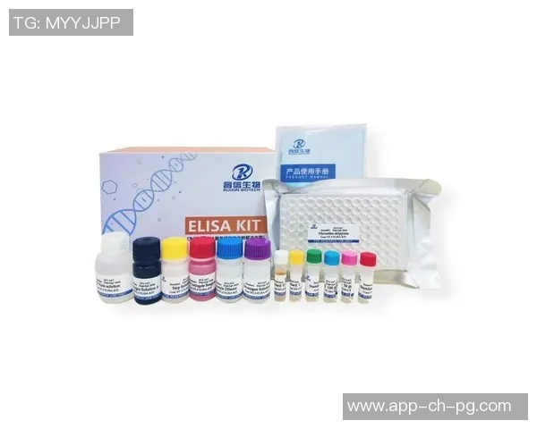 pg电子yb33丶me-探索pg电子yb33丶me，重新定义电子时代的潜力与价值-pg电子yb33丶me