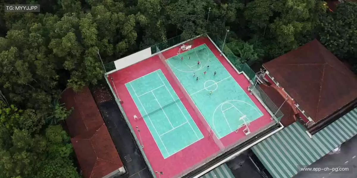 📺 实时直击，让热爱零距离！